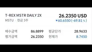 마이클스트레지#존버#MSTR#MSTY#MSTU#물타기