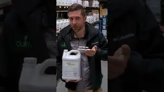 Spider Mites FEAR This Pesticide | General Hydroponics AzaMax