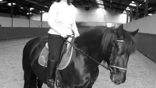 Flicka, we miss you... RIP &hearts;