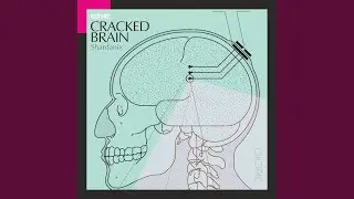 Cracked Brain