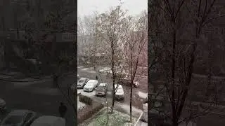 Снег в Шымкенте 2 )) дата : 07.02.2024#снегвшымкенте #snowinwinter #snow #shymkent #kazakhstan