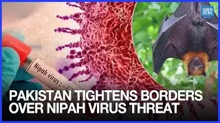 Pakistan Tightens Borders Over Deadly Nipah Virus Threat | Dawn News English
