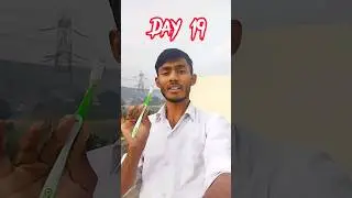 Day 19 | Crane Helper Life| आज गेट से एंट्री नहीं मिली #shorts #shortsfeed #minivlog