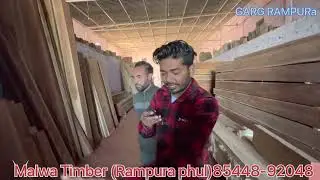 ਸਾਗਵਾਨ ਲੱਕੜੀ ਦਾ ਭੰਡਾਰ || Punjab no 1 Timber store