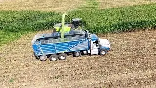Claas 990 with Orbis 900 Head