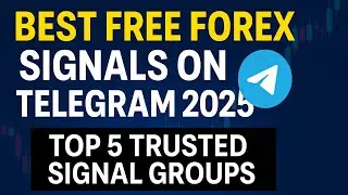 The Truth About Forex Signal Telegram Groups