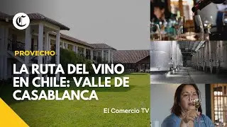 Recorre la ruta del Vino en Chile: Conoce las variedades de Uva en Casablanca #Prov #VideosEC