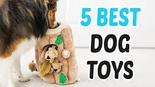 Best Dog Toys 2018 - Dog Toys Review
