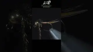 EASY Trout Fly!