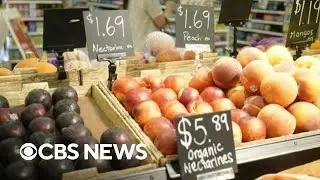International Monetary Fund warns 