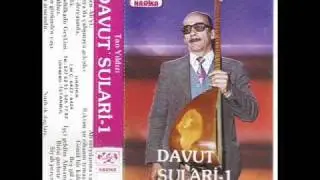 DAVUT SULARİ-DAGLAR SİZİ DELİK DELİK DELERİM.wmv