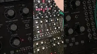 sound studio session 1 #moog #soundstudio #dfam #mother32 #subharmonicon #jamsession #analog #sesh