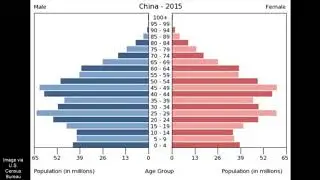 Demographic Indicators and Population Pyramids:  China
