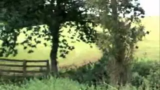 Lana Hughes & Blackjack - Summer 2010 'This is our time'