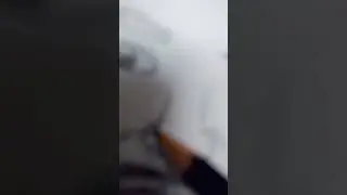 panda 🐼 gang op