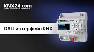 Освещение Dali KNX. ОБЗОР Zennio DALI BOX interface 64 v3