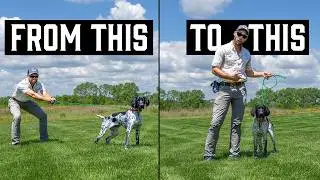 Leash Manners Made Easy: This Trick Changes Everything