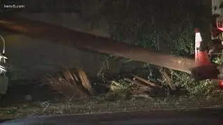 Driver crashes into utility pole