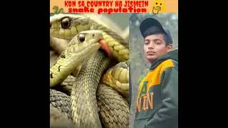 world ma kon sa place ha Jahan snake population ha#shorts