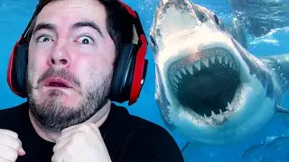 SHARKS VS STEVE - Depth w/ Mark and Nick