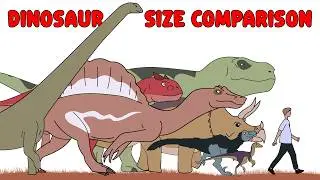 13 DINOSAURS Size Comparison 🦖🦕