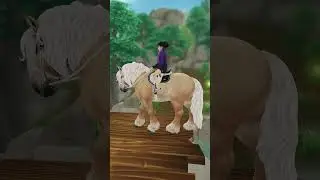 #horse #horses #sso #starstablehorses #starstableonline #starstable #starstableonlinehorses