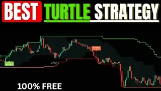🔥 Zeki&rsquo;s Turtle Strategy 2.0 (2025) | Most Accurate TradingView Indicator for Forex & Crypto 🚀