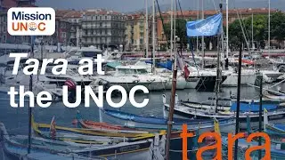 Tara in Nice: United Nations Ocean Conferences - Episode 5 / UNOC Mission