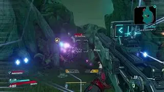 chonk stomp vanishes