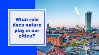 How do we make our cities greener and wilder? | Hubbub Investigates