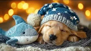 Calming Dog Music 3 Hours for Home Alone Puppies 🐕 Relaxing Sleep Aid & Stress Relief Sounds Music