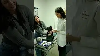 💚 PROMAX Antidiarreico para Perros
