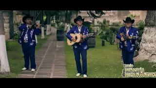 Trio Dinastia Hernandez-La Viajera (VIDEO OFICIAL)