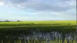 New Waterfront Home beaufort Sc | Gavigan homes