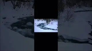 ❄️ Зимова гірська річка 🌊 #naturesounds #riversound #relaxingstream #sleepstream #whitenoise