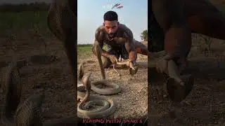 Unbelievable! King Cobra&rsquo;s Reaction When Being Teased #shorts