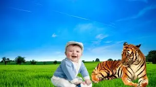 15 incredible Animals Kids Actually Own 2021