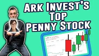 Ark Invest Is STILL Buying this Penny Stock | Top Penny Stocks NOW