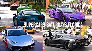 MILLIONS OF DOLLARS in Exotic Cars at the Hollywood Miami Florida Meet! Must See Collection!