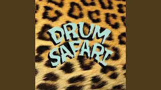 Drum Safari