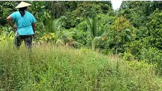 PERGI KEBUN AYAH NAK TENGOK DURIAN YANG AYAH TANAM TAHUN 1992 ADA BUAH KE TIDAK 🙏🙏