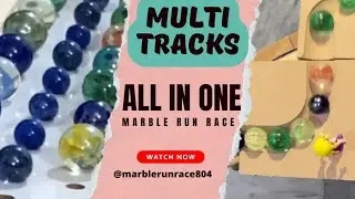 Amazing Marble Run Healing Sound Wooden Cuboro Standard スロープ＆バリボーゴールデングミRooling Ball #ASMR