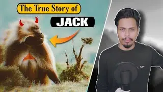 एक अनसुनी सच्ची कहानी  | The Monkey Who Worked As an &lsquo;Official&rsquo; Railway Signalman | LSL EP-10
