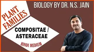 Compositae/Asteraceae Family (Plant families) | Hindi Medium