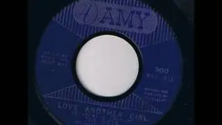 The Rays Featuring Hal Miller -  Love Another Girl