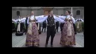 SOKADIJO U SRCU TE NOSIM 24 08 2014