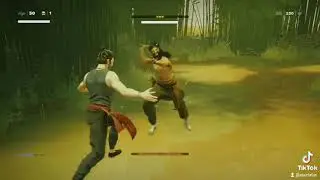 Sifu Funny Moments 1