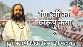 🙏🏻परम् पूज्य स्वामी शिव चैतन्य ब्रह्मचारी जी महाराज🙏🏻  🥰गंगा जी का स्वरूप कैसा है🥰