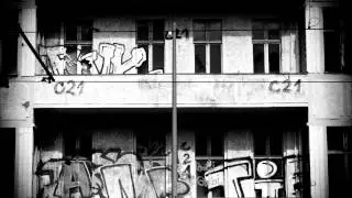 Gremlinz & Paragon - Oranda