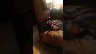 brain damage #comedy